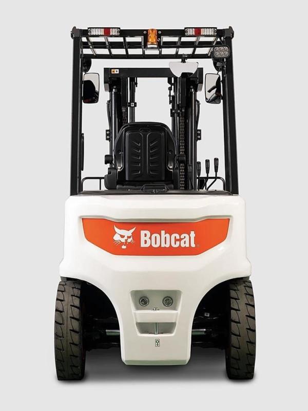 Bobcat