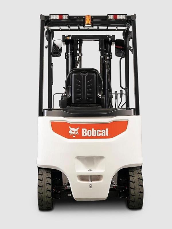 Bobcat